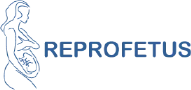 Reprofetus